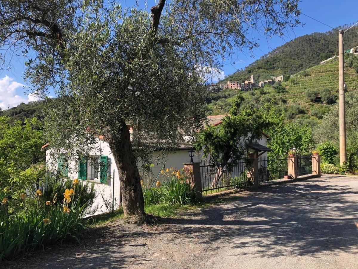 Dolcevia Appartement Levanto Buitenkant foto