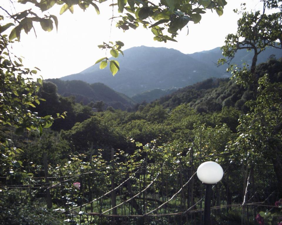 Dolcevia Appartement Levanto Buitenkant foto